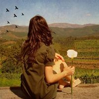 dingosweet (@dingosweet67295) 's Twitter Profile