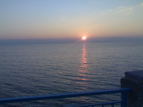 zebra666666's profile picture. 