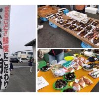 南風泊ふれあい朝市（非公認）🐟 (@asaihi_haedmari) Twitter profile photo