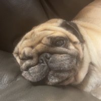 JacobFBA (@jacobfba) 's Twitter Profile