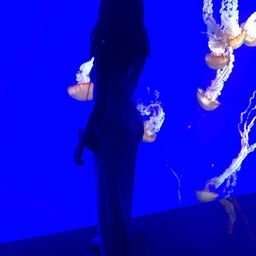 ElaineSD131423's profile picture. 