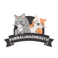 FurballMadnessTV(@FurrballMadness) 's Twitter Profile Photo