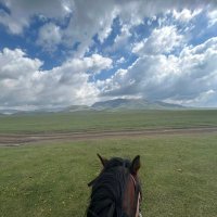 نجمه السيد (@njmaals) 's Twitter Profile