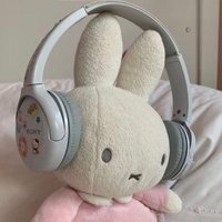 饼干兔拍拍灯 (@sphericalrabbit) Twitter profile photo
