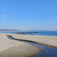 shinichi.kudo (@scbhfrmdsw73946) Twitter profile photo