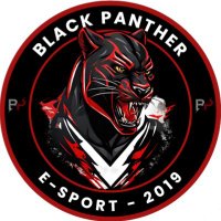 BLACK PANTHER ESPORT (@bp_esport_) 's Twitter Profile