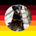 KoboldendeBaerbockBatterie 🇩🇪 🇦🇹 🇨🇭 (@fsellner72776) Twitter profile photo KoboldendeBaerbockBatterie 🇩🇪 🇦🇹 🇨🇭 (@fsellner72776) Twitter profile photo