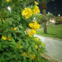 ابوجميل المحياوي (@aabujmill22) Twitter profile photo