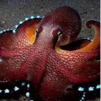 Marica (@marica0077) 's Twitter Profile