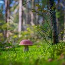 Felicity Holmes - @FelicityHo35818 - Twitter