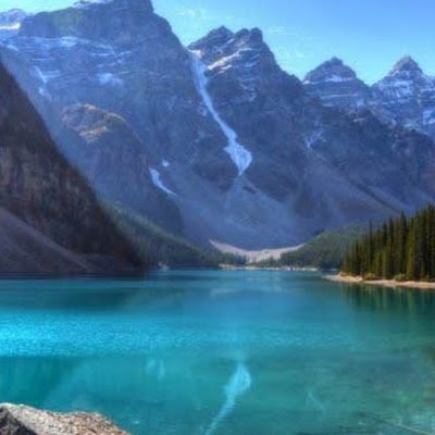 ViniciusSFM's profile picture. 