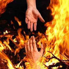 evangelismforce's profile picture. 