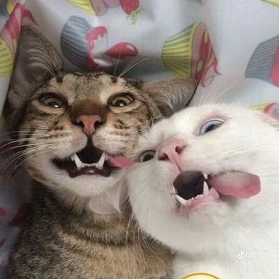 mileywar's profile picture. 