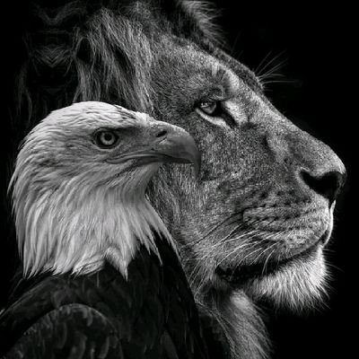 Godfirstdodzi1's profile picture. I'm an example of Christ in my generation