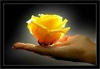 Mariangie2000's profile picture. Love to inspire people and decided to make a difference at least on one person's life. Motivational phrases in English and Spanish.