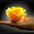 Mariangie2000's profile image