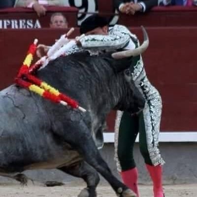 Administradora de la página Sólo Para Taurinos.
En la vida, como en el toro, siempre hay que estar bien colocado.