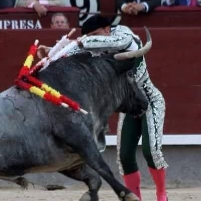 Administradora de la página Sólo Para Taurinos. 
En la vida, como en el toro, siempre hay que estar bien colocado.