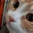 may_i_help_you7