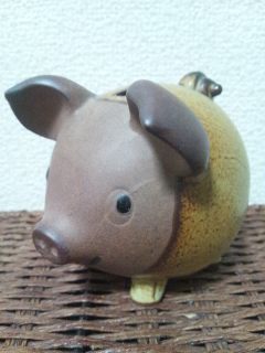 naochita's profile picture. 地元の美浜、大好き。ドライブ、散歩大好き。今年の夏は暑すぎて…｡