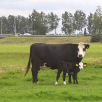 Elsbroekerwei (@elsbroekerwei) 's Twitter Profile