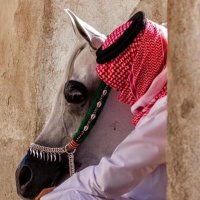 احساس راقي (@abdullah_1a1a) 's Twitter Profile
