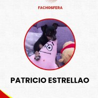 Patricio estrellao(@fran74154751) 's Twitter Profile Photo