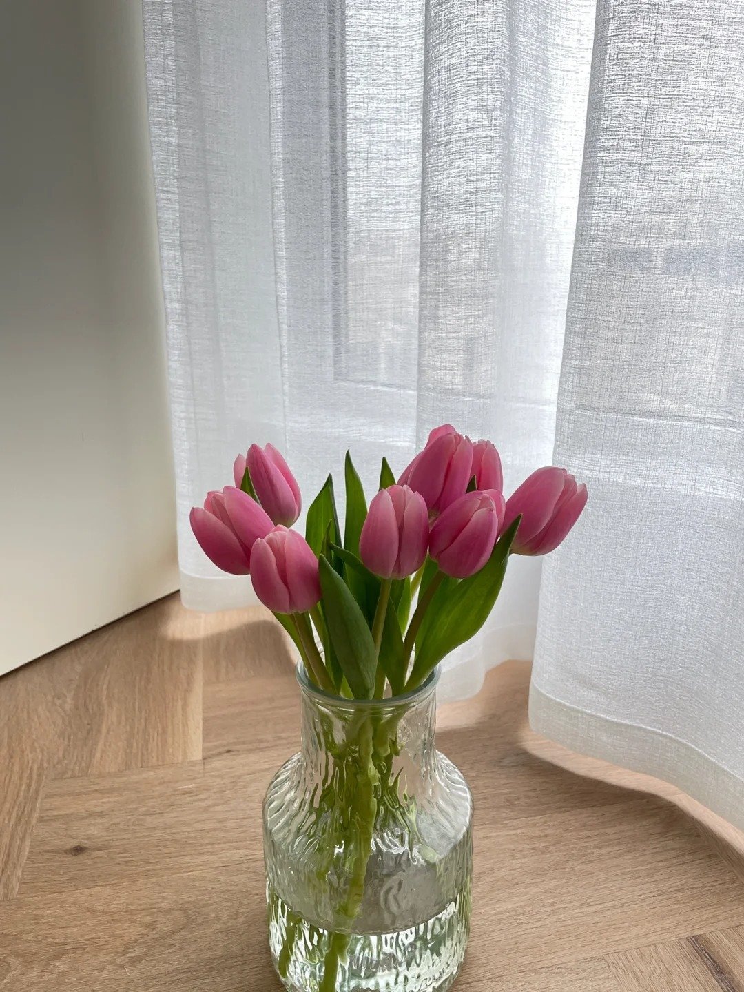 M7Janed76862's profile picture. Your name，Engraved in my mind.