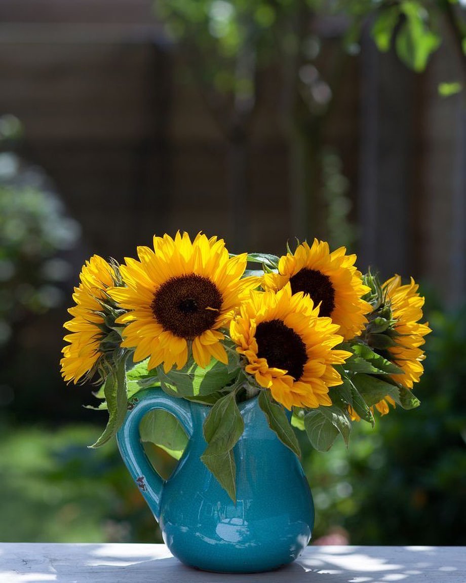 FlRiccia5210's profile picture. Persistently pursue your dreams, but there is always food in your dreams.🌌🍕