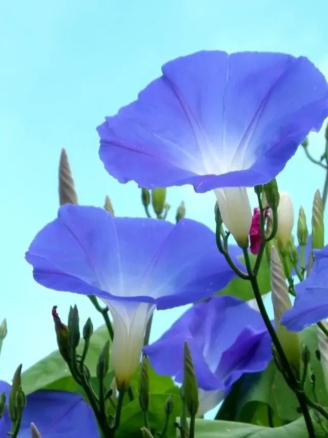 Gezellighe99732's profile picture. Kindness is like sunshine, wit is like moonlight, humor is like stars. ✨😄