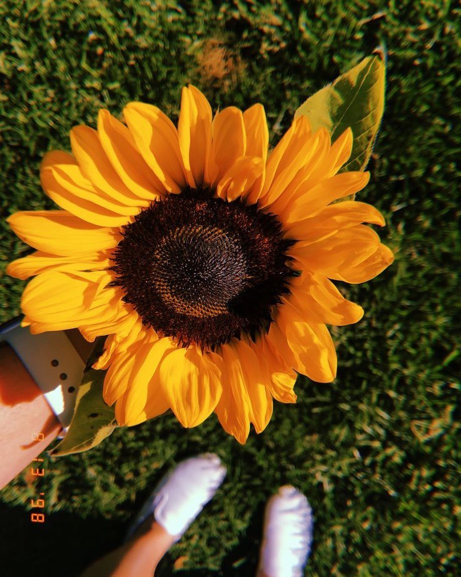 Patrici76489755's profile picture. Life is like a cup of coffee, either strong or with a little sugar to enjoy. ☕🌈