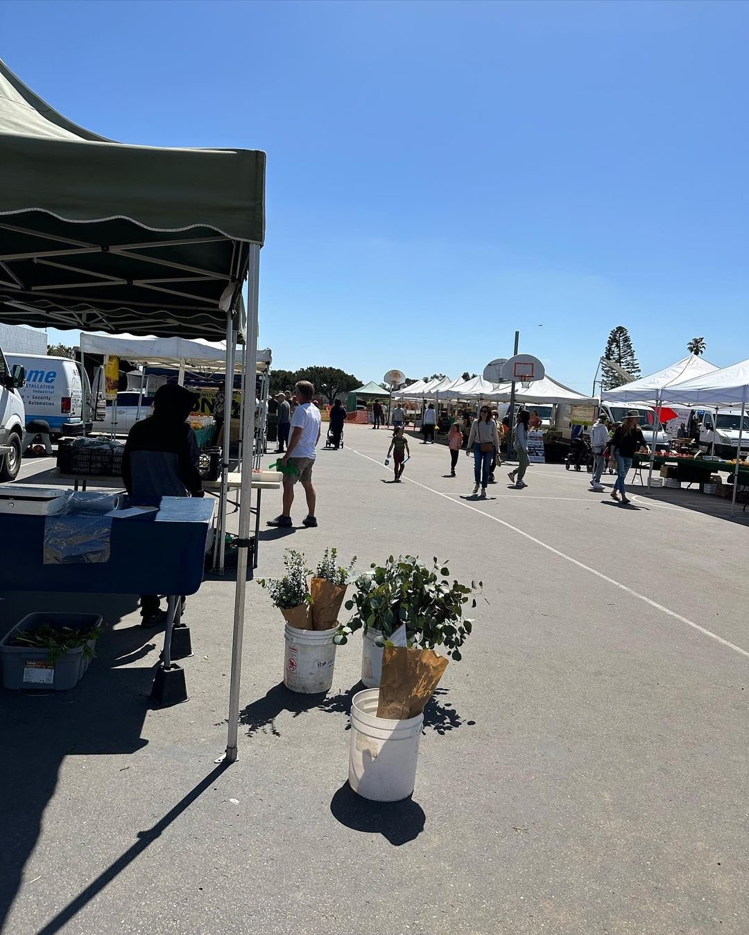 Beth8Eliza80357's profile picture. Time waits for no one, but I am waiting for the next delicious meal.⌛🍕