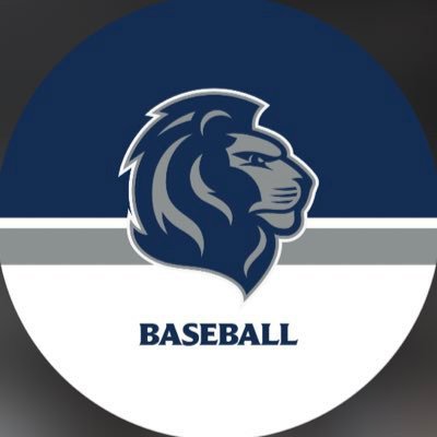 Johnson Baseball Profile