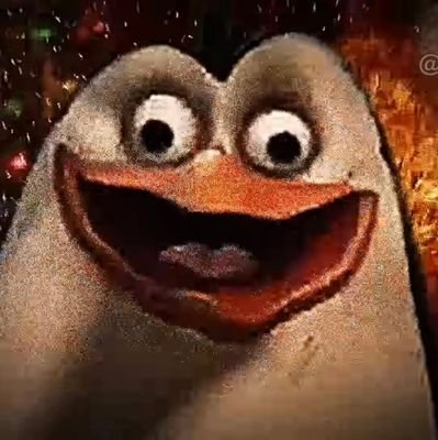 MattisseVan's profile picture. 