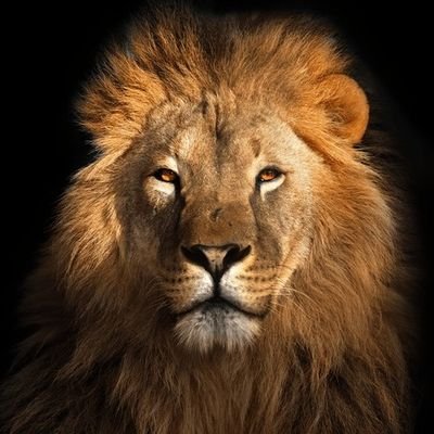 Derecha 💯- Fiel creyente de una Colombia Prospera y en paz, donde siempre debe primar la Justicia.
