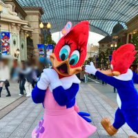 あむ (@amu__usj) 's Twitter Profile