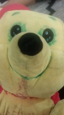AynixyuYT's profile picture. Im am malaysian Indonesian and thais
