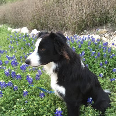 @momdoc60