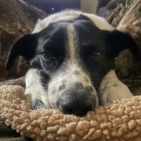 Adam (@awb5521) 's Twitter Profile Photo