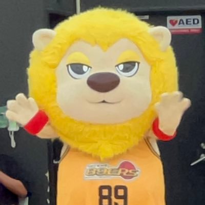 バスケ やるのも見るのも好き NBAはBUCKS LAKERS MAVERICKS B leagueは川崎ブレイブサンダース