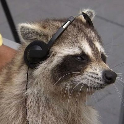 ElTioRonin's profile picture. friki