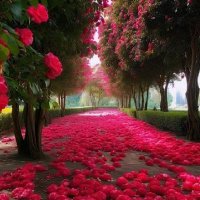 دب فحل زائر المدينه (@hmwdyh32147) Twitter profile photo