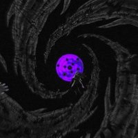 X e r o (@nothingbut0s) 's Twitter Profile