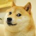 DogOpp (@d0g0pp) Twitter profile photo DogOpp (@d0g0pp) Twitter profile photo