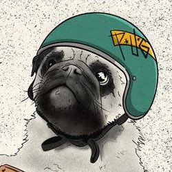 thepugdetroit Profile Picture