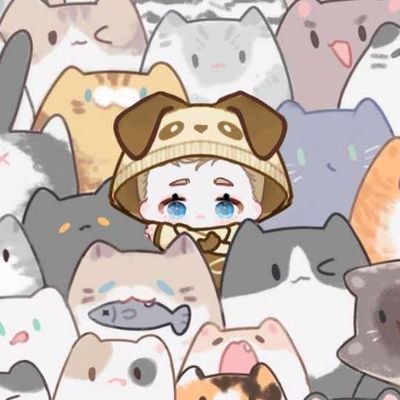 🌼ZZ|||さんのプロフィール画像
