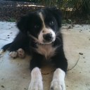 jodie keith - @jodie_k1 - Twitter