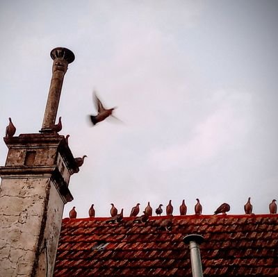 Militante de @FOLprensa
// No sonrío para la foto
IG: @analiaz_ig