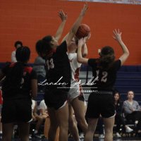 Chloe Chiniara (@chloecbball) 's Twitter Profile