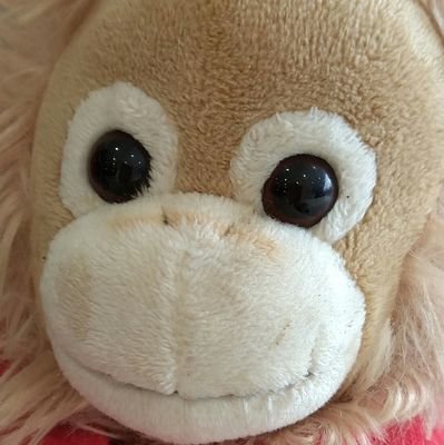 5年ほど前に埼玉県から憧れだけで、ここ横須賀に移住して来ました。右も左も、もち知り合いもいないなか (紆余曲折を経て..中略) 今は、ノジマモール横須賀4Fでストリートライブをさせていただいてます。😃毎週土曜日3時~5時です。
2025年2月~多肉植物🥰しかし何が解らないのかも解らない超初心者です。宜しく🙇🙏